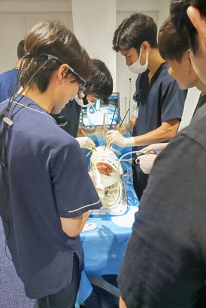 胸腔鏡、豚肺を用いたウェットラボ